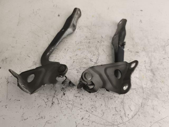 bontott TOYOTA RAV 4 Motorháztető Zsanér Pár