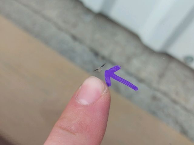 bontott TOYOTA URBAN CRUISER Első Szélvédő