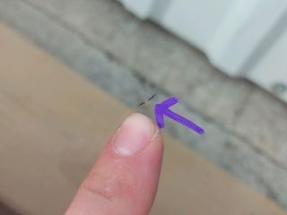 bontott TOYOTA URBAN CRUISER Első Szélvédő