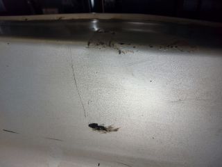 bontott TOYOTA YARIS Hátsó Lökhárító (Részeivel)