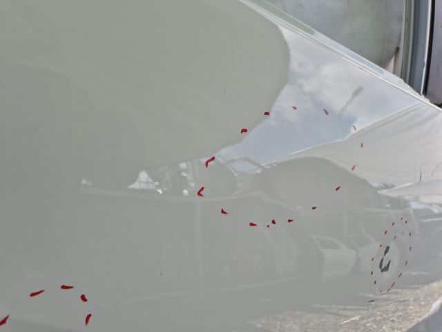 bontott TOYOTA YARIS Jobb hátsó Ajtó (Üres lemez)