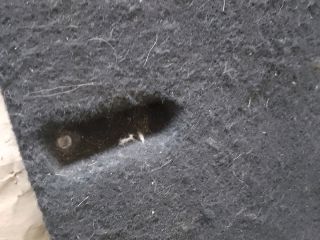 bontott TOYOTA YARIS Pótkerék Takaró