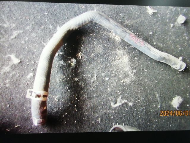 bontott TOYOTA YARIS Vízcső