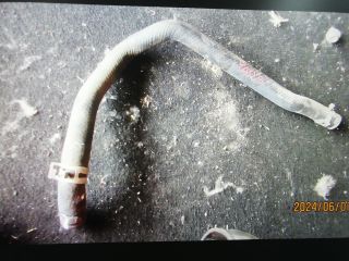 bontott TOYOTA YARIS Vízcső