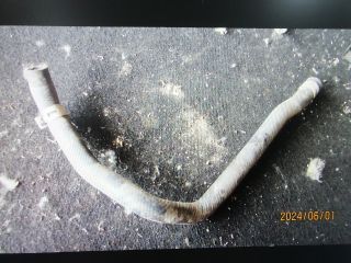 bontott TOYOTA YARIS Vízcső