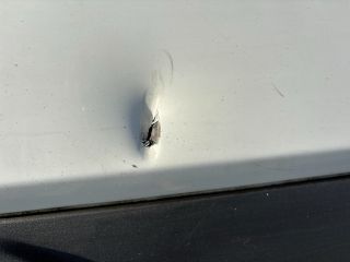 bontott VOLVO C30 Hátsó Lökhárító (Részeivel)