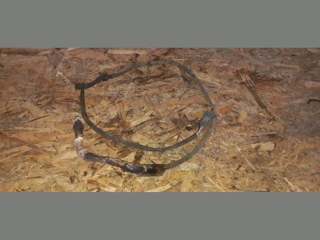 bontott VOLVO S80 Hátsó Lambdaszonda