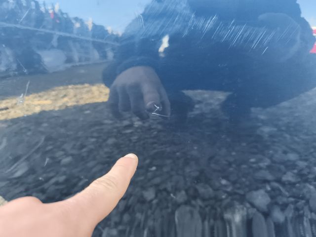 bontott VOLVO V90 Jobb hátsó Ajtó (Üres lemez)