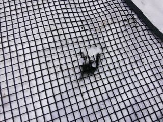 bontott VOLVO XC90 II Kalaptartó