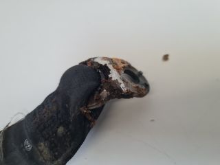 bontott VW BORA Jobb hátsó Biztonsági Öv