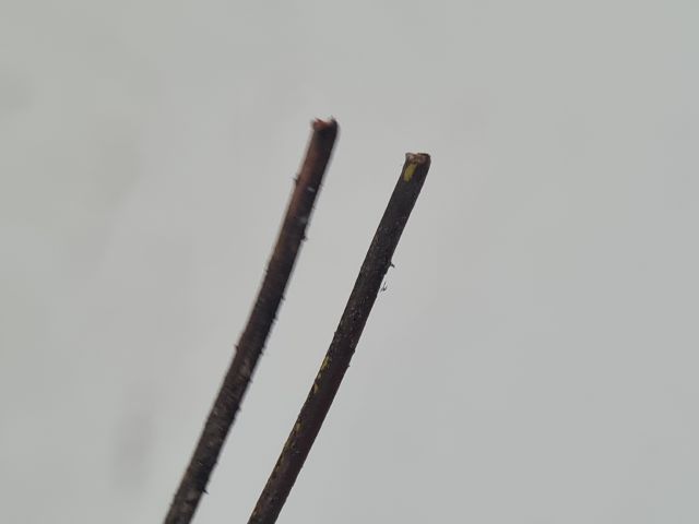 bontott VW BORA Külső Hőmérséklet Érzékelő