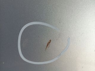 bontott VW BORA Motorháztető