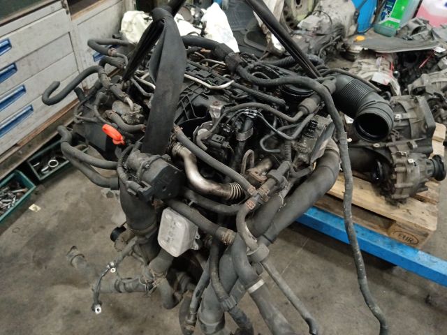 bontott VW CADDY Motor (Fűzött blokk hengerfejjel)