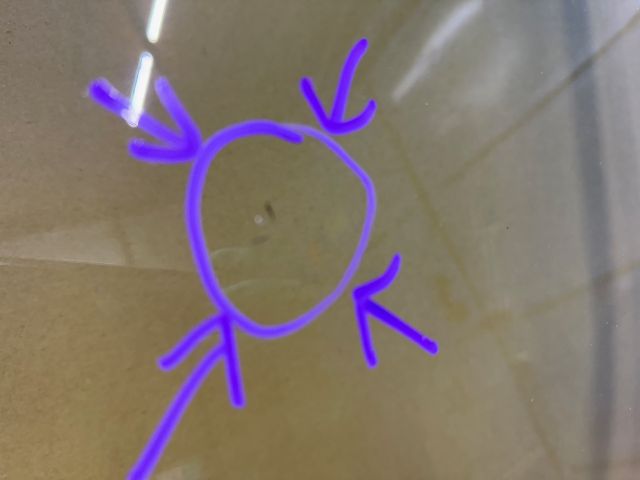 bontott VW CADDY Első Szélvédő