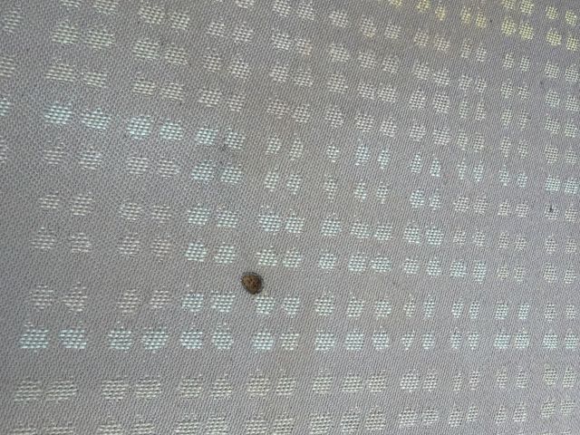 bontott VW CADDY Hátsó Ülés Szett