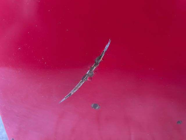 bontott VW CADDY Jobb Tolóajtó (Üres lemez)