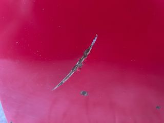 bontott VW CADDY Jobb Tolóajtó (Üres lemez)