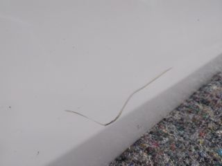 bontott VW EOS Jobb első Ajtó (Részeivel)