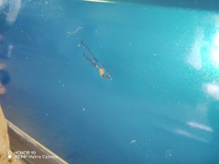 bontott VW GOLF III Bal első Ajtó (Részeivel)