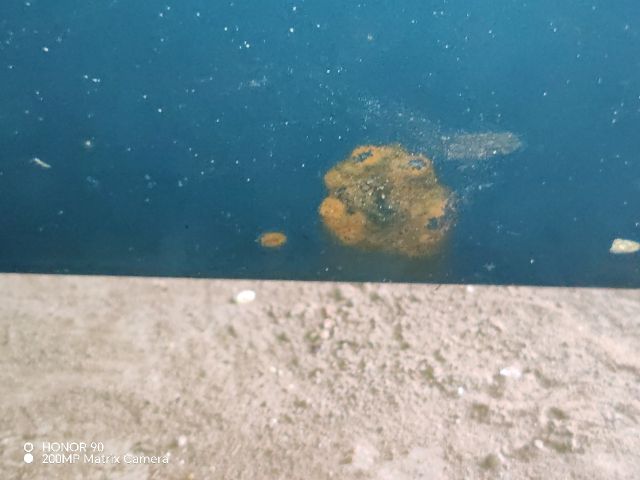 bontott VW GOLF III Jobb első Ajtó (Részeivel)