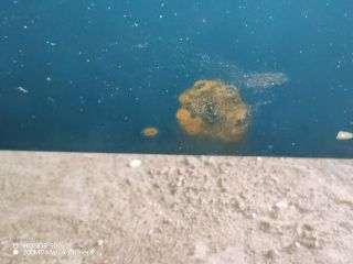 bontott VW GOLF III Jobb első Ajtó (Részeivel)