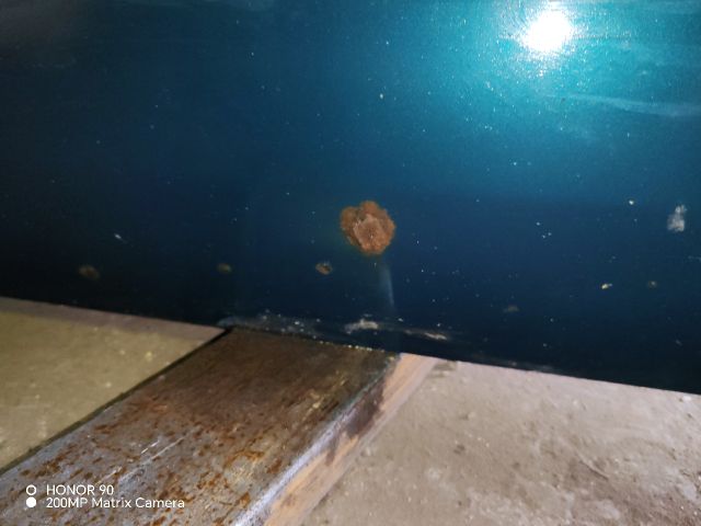 bontott VW GOLF III Jobb első Ajtó (Részeivel)