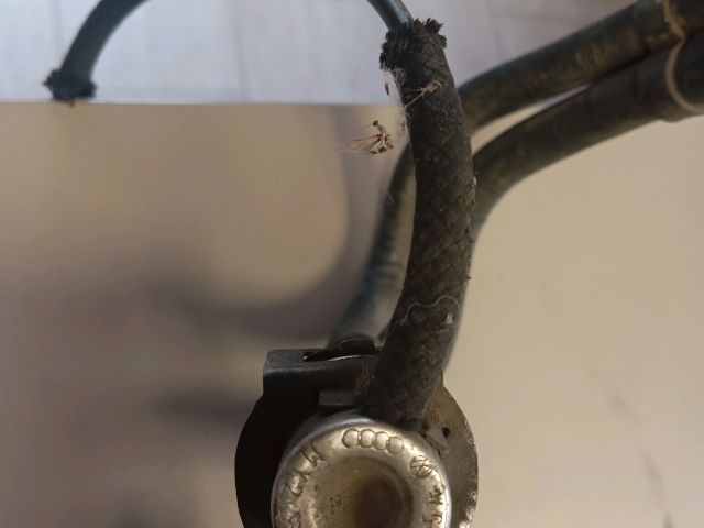 bontott VW GOLF IV Porlasztó Sor / Híd