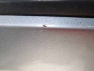 bontott VW GOLF IV Jobb hátsó Ajtó (Üres lemez)