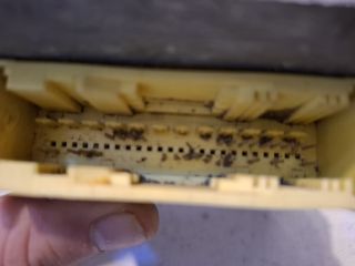 bontott VW GOLF IV Légzsák Elektronika