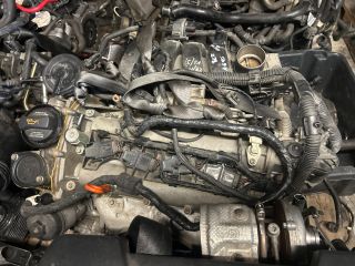 bontott VW GOLF PLUS Motor (Fűzött blokk hengerfejjel)