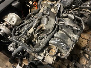 bontott VW GOLF PLUS Motor (Fűzött blokk hengerfejjel)