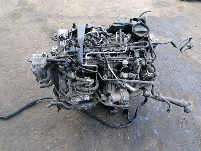 bontott VW GOLF PLUS Motor (Fűzött blokk hengerfejjel)