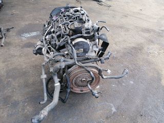 bontott VW GOLF PLUS Motor (Fűzött blokk hengerfejjel)