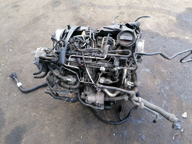 bontott VW GOLF PLUS Motor (Fűzött blokk hengerfejjel)