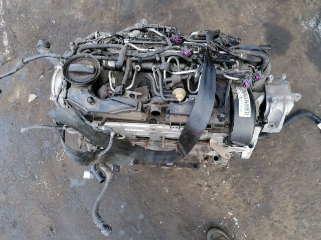 bontott VW GOLF PLUS Motor (Fűzött blokk hengerfejjel)