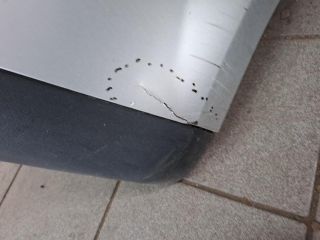 bontott VW GOLF PLUS Első Lökhárító (Üresen)