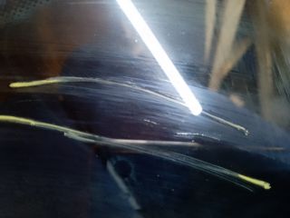 bontott VW GOLF PLUS Jobb hátsó Fixüveg (Ajtóban)