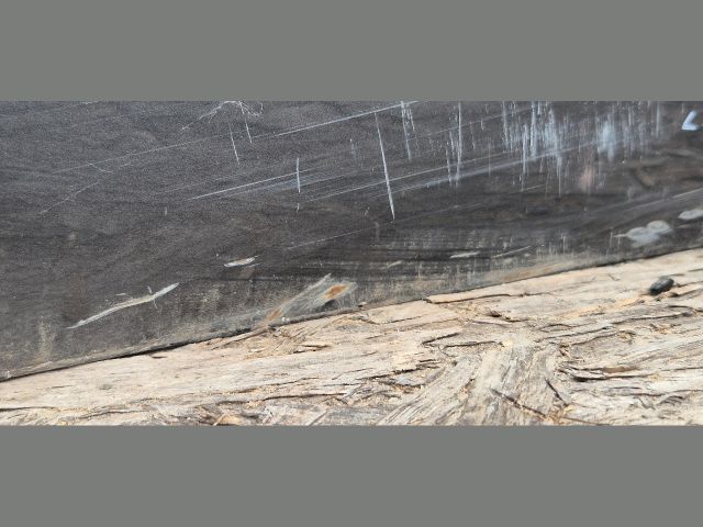 bontott VW GOLF SPORTSVAN Jobb első Ajtó (Üres lemez)