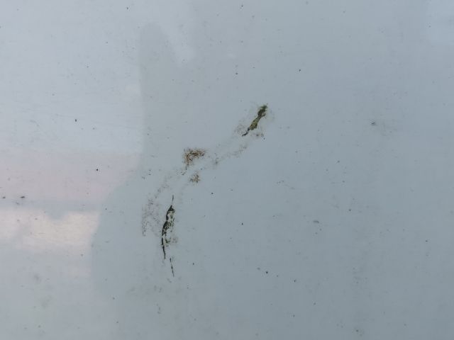 bontott VW GOLF V Bal első Ajtó (Üres lemez)