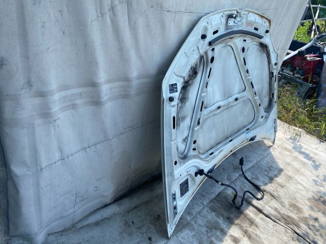 bontott VW GOLF V Motorháztető