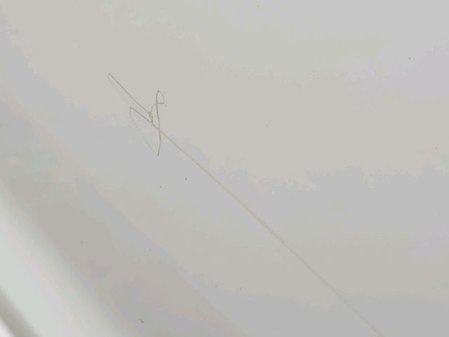 bontott VW GOLF VI Bal első Ajtó (Üres lemez)