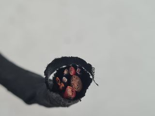 bontott VW GOLF VI Csatlakozó