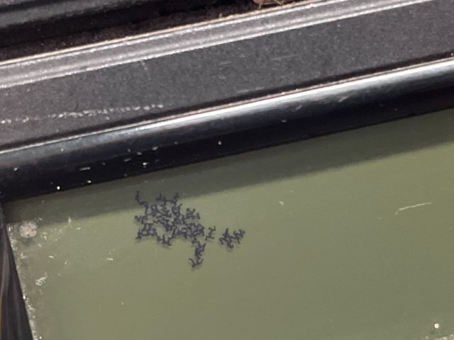 bontott VW GOLF VI Rádió / CD