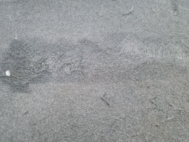 bontott VW GOLF VII Csomagtér Tálca