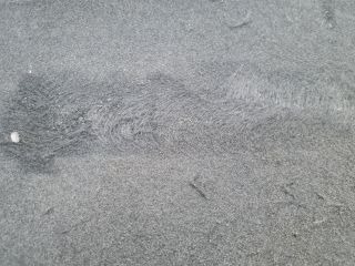 bontott VW GOLF VII Csomagtér Tálca