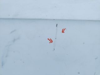 bontott VW GOLF VII Jobb első Ajtó (Üres lemez)