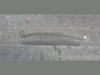 bontott VW GOLF VIII Hátsó Lökhárító (Üresen)