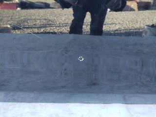 bontott VW GOLF VIII Jobb első Ajtó (Üres lemez)