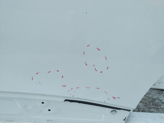 bontott VW ID.4 Bal hátsó Ajtó (Üres lemez)