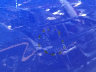 bontott VW ID.4 Jobb hátsó Ajtó (Üres lemez)